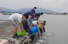 하동 금남·금성해역에 감성돔 종자 방류