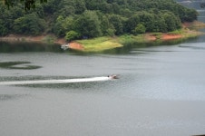 [영상] 옥천군, 대청호와 함께 하는 수생식물학습원