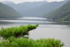 [영상 / 포토] 대전근교 데이트 코스, 수생식물학습원 천상의 정원