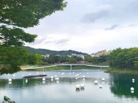여수 성산공원으로 가을밤 산책 어때요?