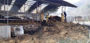 영동소방서, 축사시설 화재예방대책 추진