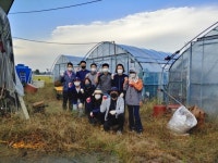 충북도, 코로나19로 인한 인력난, 생산적 일손봉사로 해소 앞장