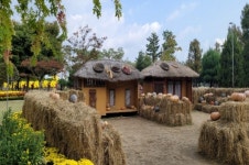 유성구, 유림공원 제12회 국화전시회