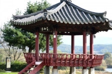 [영상뉴스] 옥천군 청산면 백운리 행복센터 노인회 국화전시회 개최