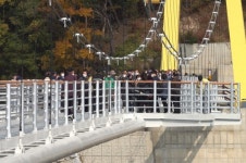 [영상뉴스] 영동군 100년 송림과 양산팔경 금강둘레길 잇는 송호금강 물빛다리