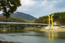 [영상뉴스] 영동군 100년 송림과 양산팔경 금강둘레길 잇는 송호금강 물빛다리