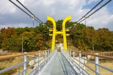 [영상뉴스] 영동군 100년 송림과 양산팔경 금강둘레길 잇는 송호금강 물빛다리