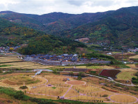 광양시 옥룡면 추동섬, 장엄한 백운산과 눈 맞추는 곳