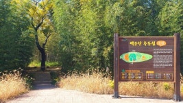 광양시 옥룡면 추동섬, 장엄한 백운산과 눈 맞추는 곳