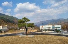 하동군체육회 정길웅 회장, 화개면민 안녕기원제 및 기념 식수