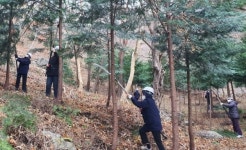 지리산 구재봉자연휴양림 숲가꾸기 실시