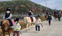 하동 갈육초,  친구와 함께 승마 체험 소중한 추억