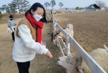 하동 궁항초,  목장에서 6차산업 시대를 열어 보다