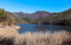 계룡시, 계룡산 안보생태 탐방길 열리다