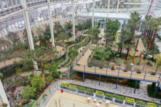 영동군 또 다른 관광명소 레인보우식물원  탄생!