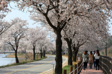 충남의 아름다운 드라이브길 10선 선정