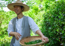 하동군, 서정민 연우제다 대표, 신지식 농업인 선정