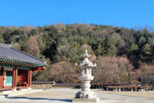금산군, 주옥(珠玉)같은 '보석사(寶石寺)' 주지 장곡스님