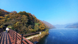 대청호를 옥천 주민의 품으로! 대청호 친환경 도선 운항 가시화