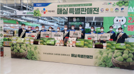 광양시, 대한민국 최고 명품매실로 인정받은 빛그린 광양매실