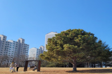 대전시, 아이와 가볼 만한 곳 은구비 역사공원