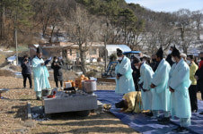 부여, 천연기념물 제320호 주암리 은행나무 행단제(杏壇祭) 거행