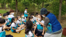 안동시, 정하동에 유아숲체험원 조성