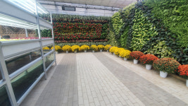 청주시, 3월 5일부터 오창 미래지농촌테마공원 생명농업관 개장