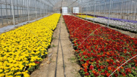 청양군, 화훼농가 유지비 절감장치 보급