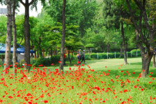 서울시, 잠실파크골프장 4월 재개장