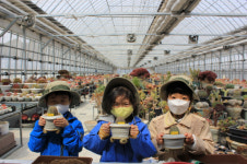 북일초, 초록 친구와 초록 꿈을 키울 거예요