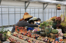 북일초, 초록 친구와 초록 꿈을 키울 거예요