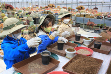 북일초, 초록 친구와 초록 꿈을 키울 거예요