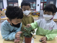 남평초등학교병설유치원 아이들, 조물 조물 봄을 빚어요