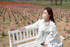 안동포타운에서 직조놀이터 with 작은튤립축제 개최