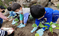 하동 화개초왕성분교, 기후변화주간&지구의 날 교육 주간 학교 텃밭 가꿔
