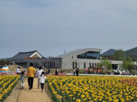 [포토뉴스]안동포타운 직조놀이터 & 튤립축제, 이틀간 5,500명 다녀가