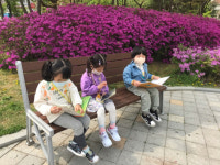 남평초등학교 병설유치원 아이들, 공원으로 봄나들이 떠나요