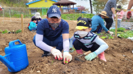 청양군 청송초, 2022년 학교 도시농업 활성화 시범사업 운영