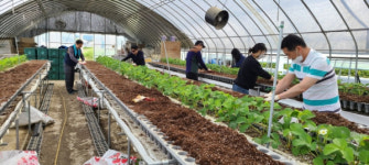 충북도청 공직자 「생산적 일손 봉사」에 총력
