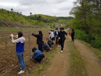 충북도청 공직자 「생산적 일손 봉사」에 총력