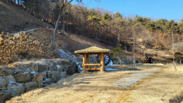 충남 더 행복한 삶의 숲 조성사업에 1142억 투입