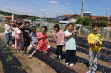 청안초, 우리가 가꾸고 재배하는 생태텃밭