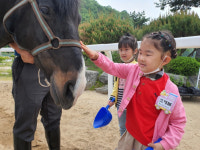 단양 대가초병설유치원,친구들과 봄맞이 승마체험