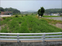 충북도, 지방하천정비사업 건설사업관리용역 발주