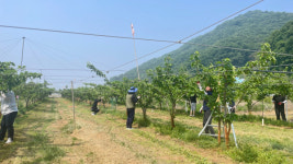 충남농촌 일손돕기 한 번 더하기 운동 동참