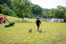 증평군 에듀팜 특구, 펫포레 플레이그라운드오픈