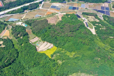 진입로 미확보 등 축사 건축허가 불허한 영동군, 행정소송서 승소