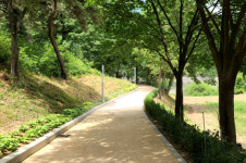 [영상뉴스] 옥천장계관광지, 중부권 힐링 관광거점으로 도약