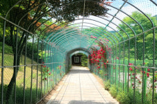 [영상뉴스] 옥천장계관광지, 중부권 힐링 관광거점으로 도약